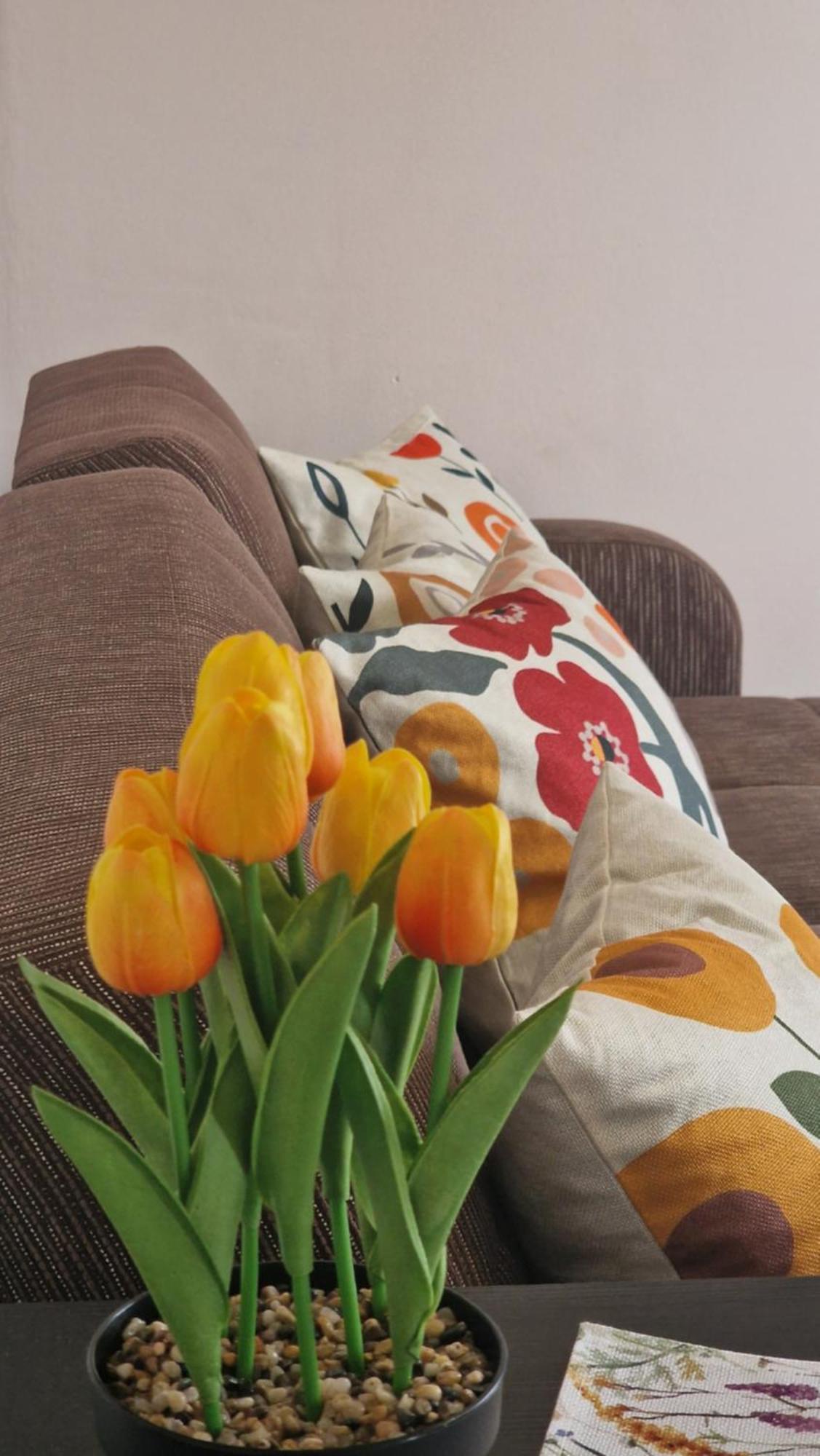 Kofinaki Apartment 1 Tycheron Экстерьер фото